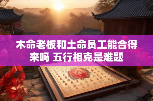 木命老板和土命员工能合得来吗 五行相克是难题