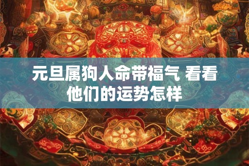 元旦属狗人命带福气 看看他们的运势怎样