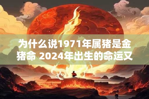 为什么说1971年属猪是金猪命 2024年出生的命运又如何