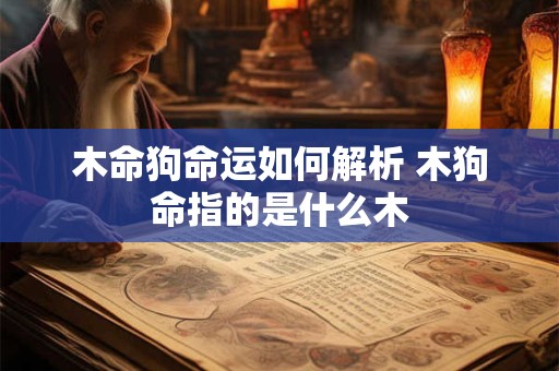 木命狗命运如何解析 木狗命指的是什么木