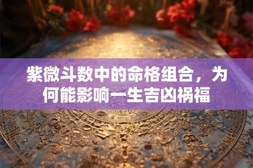紫微斗数中的命格组合,为何能影响一生吉凶祸福 紫微斗数中的命格组合,为何能影响一生吉凶祸福
