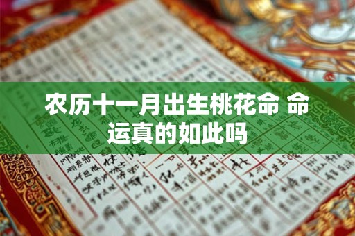 农历十一月出生桃花命 命运真的如此吗