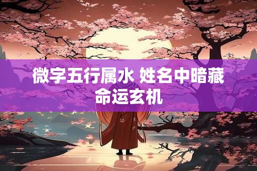 微字五行属水 姓名中暗藏命运玄机