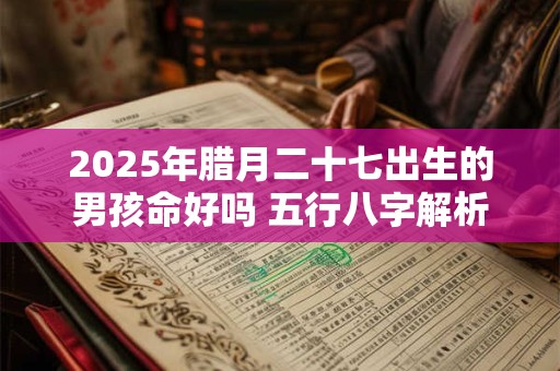 2025年腊月二十七出生的男孩命好吗 五行八字解析 2025年腊月二十七出生的男孩命好吗 五行八字解析
