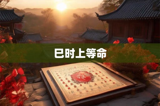 巳时上等命