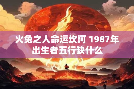 火兔之人命运坎坷 1987年出生者五行缺什么