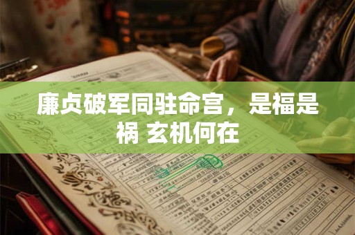 廉贞破军同驻命宫，是福是祸 玄机何在