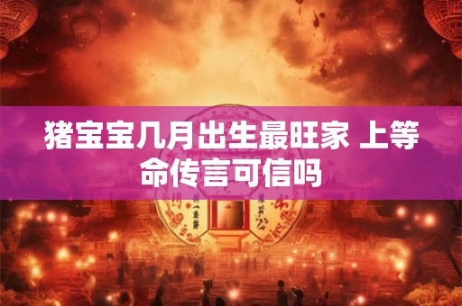 猪宝宝几月出生最旺家 上等命传言可信吗