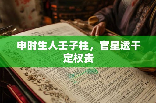 申时生人壬子柱，官星透干定权贵