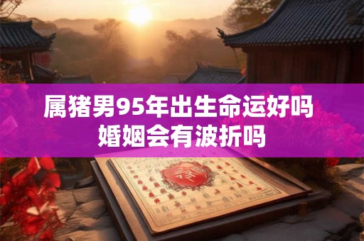 属猪男95年出生命运好吗 婚姻会有波折吗
