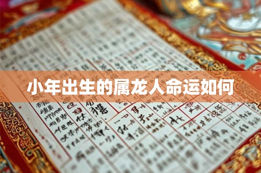 小年出生的属龙人命运如何