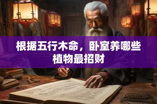 根据五行木命，卧室养哪些植物最招财