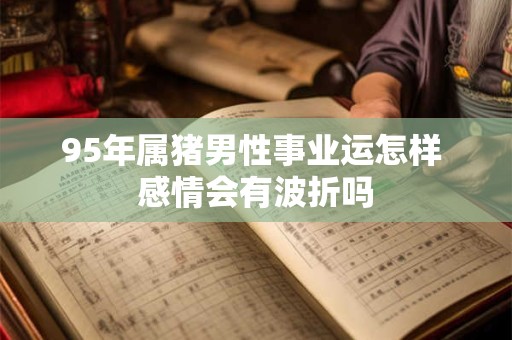 95年属猪男性事业运怎样 感情会有波折吗