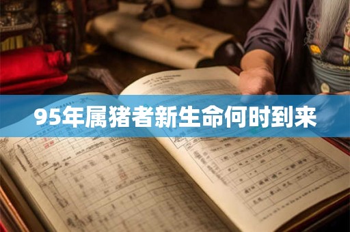 95年属猪者新生命何时到来