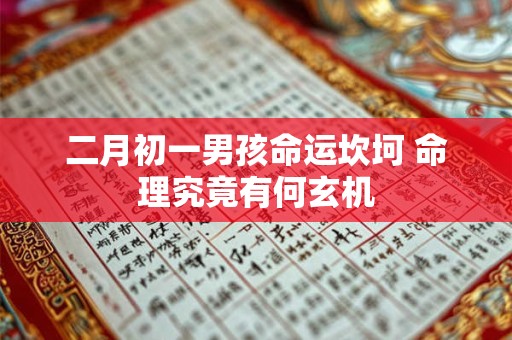 二月初一男孩命运坎坷 命理究竟有何玄机