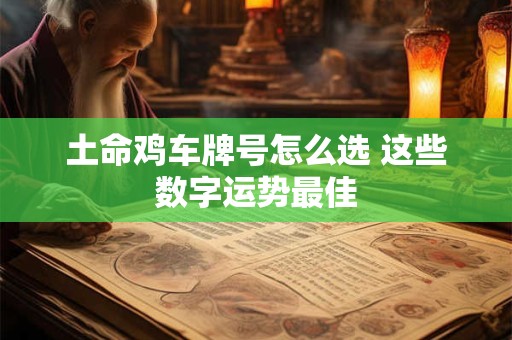 土命鸡车牌号怎么选 这些数字运势最佳