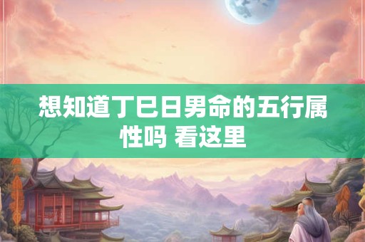 想知道丁巳日男命的五行属性吗 看这里