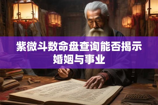 紫微斗数命盘查询能否揭示婚姻与事业