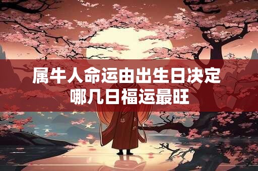 属牛人命运由出生日决定 哪几日福运最旺