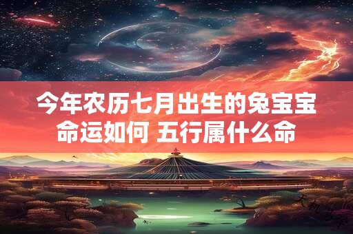 今年农历七月出生的兔宝宝命运如何 五行属什么命