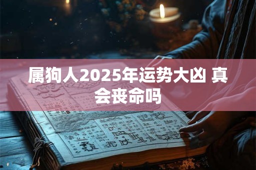 属狗人2025年运势大凶 真会丧命吗