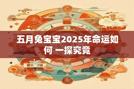 五月兔宝宝2025年命运如何 一探究竟
