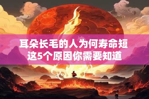 耳朵长毛的人为何寿命短 这5个原因你需要知道