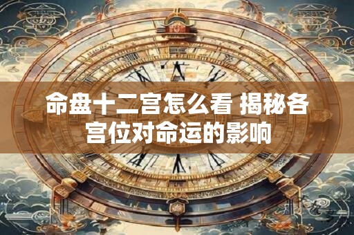 命盘十二宫怎么看 揭秘各宫位对命运的影响