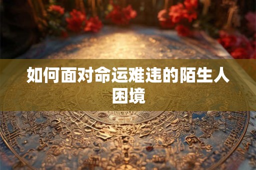 如何面对命运难违的陌生人困境