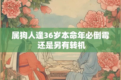 属狗人逢36岁本命年必倒霉 还是另有转机