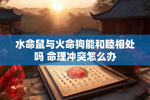 水命鼠与火命狗能和睦相处吗 命理冲突怎么办