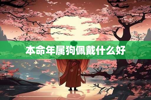 本命年属狗佩戴什么好