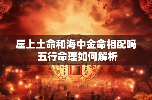 屋上土命和海中金命相配吗 五行命理如何解析