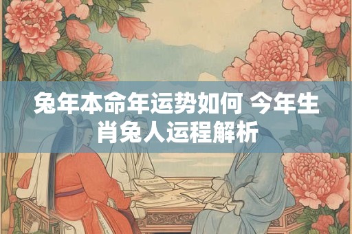 兔年本命年运势如何 今年生肖兔人运程解析