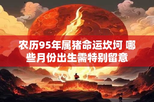 农历95年属猪命运坎坷 哪些月份出生需特别留意