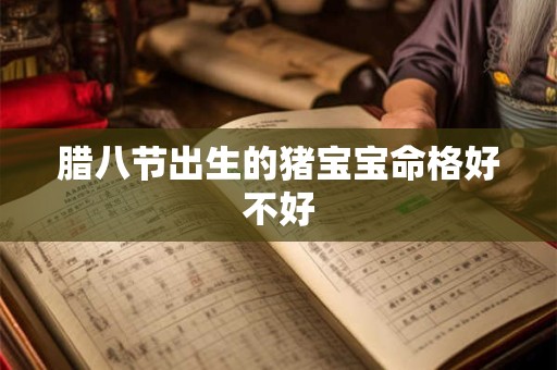 腊八节出生的猪宝宝命格好不好