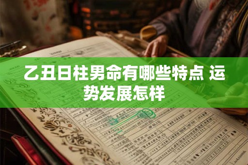 乙丑日柱男命有哪些特点 运势发展怎样