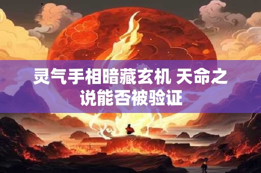 灵气手相暗藏玄机 天命之说能否被验证