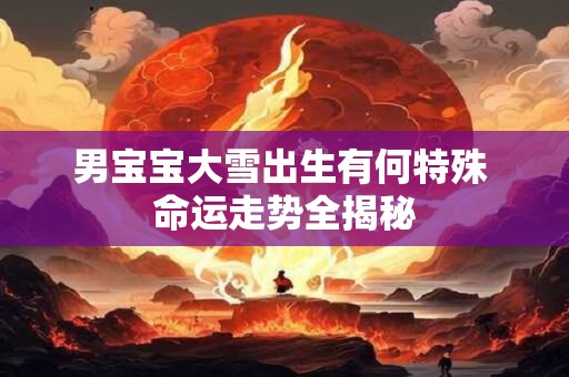 详细阅读:男宝宝大雪出生有何特殊 命运走势全揭秘 男宝宝大雪出生有何特殊 命运走势全揭秘