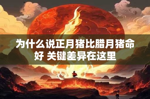 为什么说正月猪比腊月猪命好 关键差异在这里