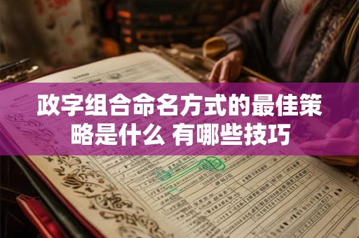 政字组合命名方式的最佳策略是什么 有哪些技巧