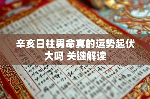 辛亥日柱男命真的运势起伏大吗 关键解读