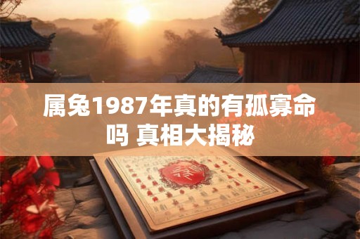 属兔1987年真的有孤寡命吗 真相大揭秘