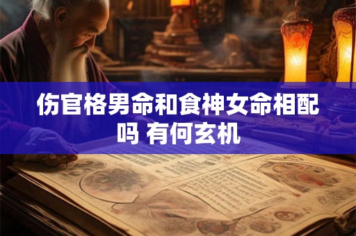 伤官格男命和食神女命相配吗 有何玄机