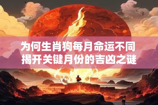 为何生肖狗每月命运不同 揭开关键月份的吉凶之谜