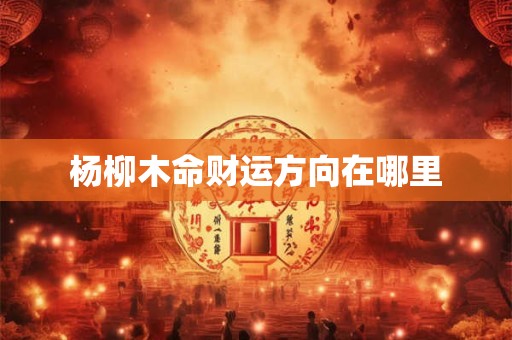 杨柳木命财运方向在哪里