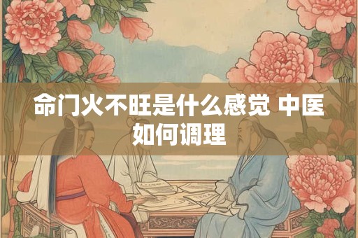 命门火不旺是什么感觉 中医如何调理