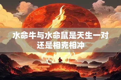 水命牛与水命鼠是天生一对还是相克相冲