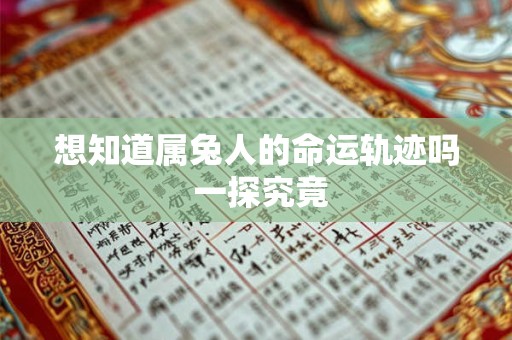 想知道属兔人的命运轨迹吗 一探究竟