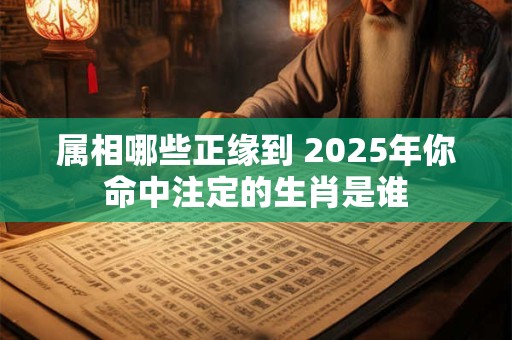 属相哪些正缘到 2025年你命中注定的生肖是谁
